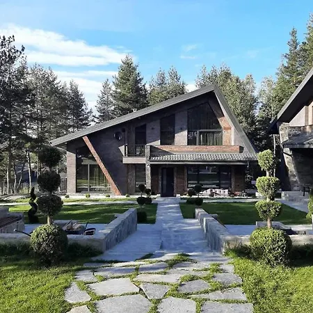 Bora Vista 1 * Tsigov Chark