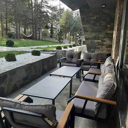 Bora Vista 1 * Tsigov Chark