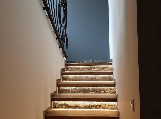 Bora Vista 1 تسيغوف تشارك