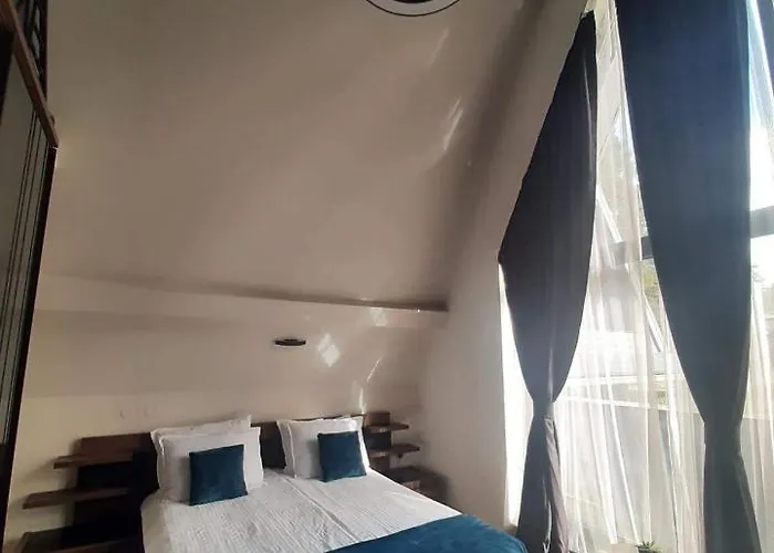 فيلة Bora Vista 1