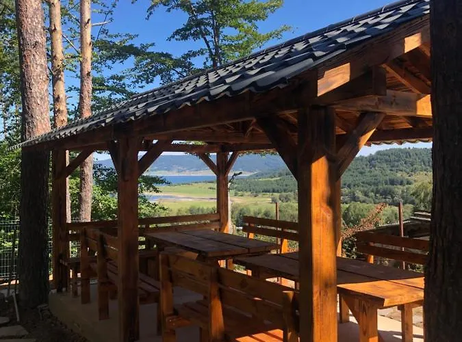 فيلة Bora Vista 1 تسيغوف تشارك