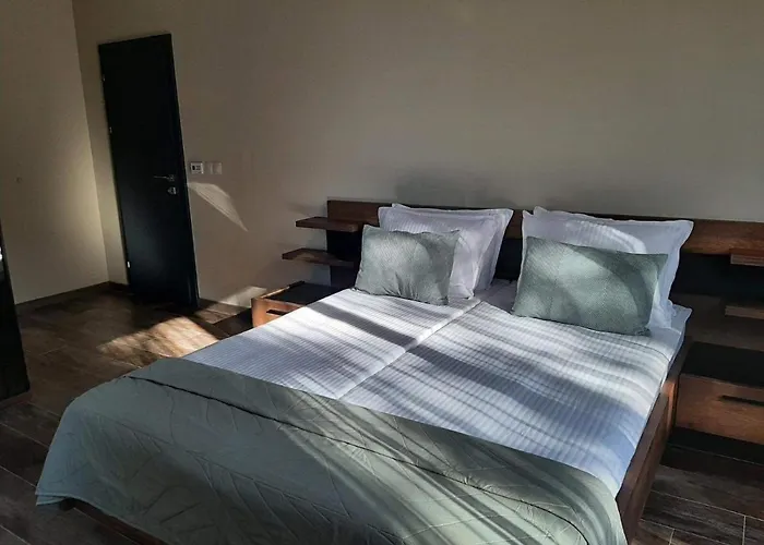 Bora Vista 1 فيلة تسيغوف تشارك