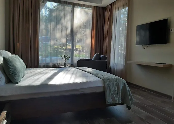 فيلة Bora Vista 1 تسيغوف تشارك