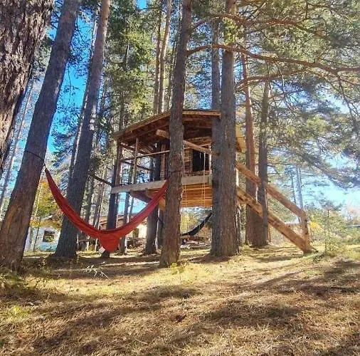 Bora Vista 1 فيلة *