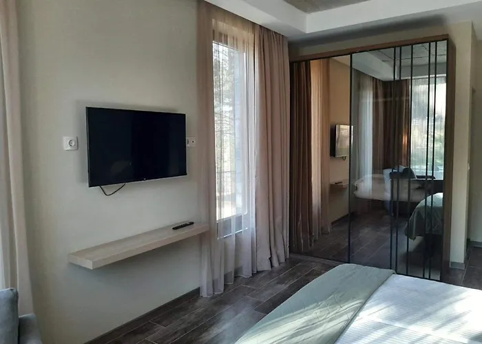 فيلة Bora Vista 1 تسيغوف تشارك