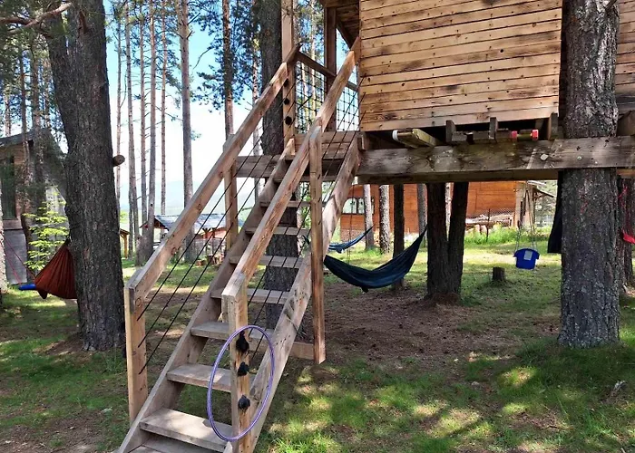 Bora Vista 1 فيلة تسيغوف تشارك