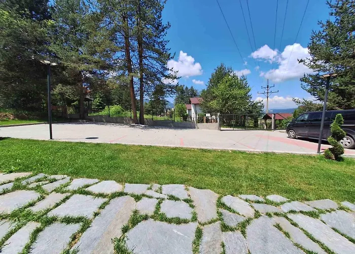 فيلة Bora Vista 1 تسيغوف تشارك