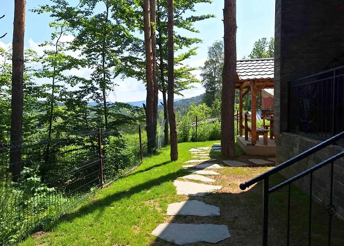 Bora Vista 1 فيلة تسيغوف تشارك