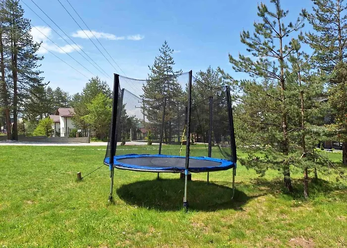 Bora Vista 1 تسيغوف تشارك